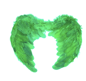Angel Wings devil halloween bird costume fancy dress feather party 