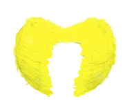 Angel Wings - Med - Upstage Dancewear