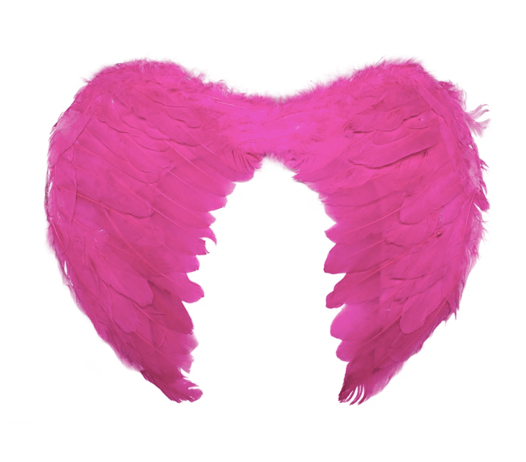 Angel Wings devil halloween bird costume fancy dress feather party 
