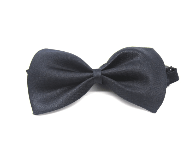 Bow Tie - costume