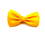 Bow Tie - costume