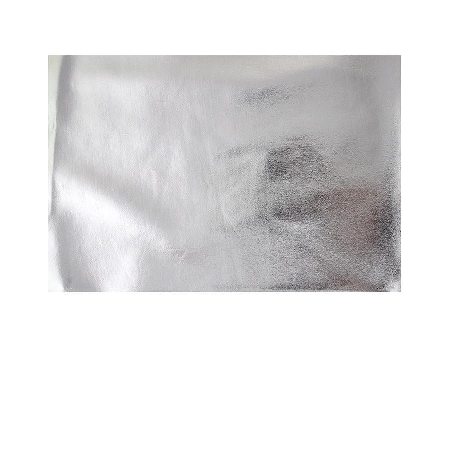Metallic Silver Leotard