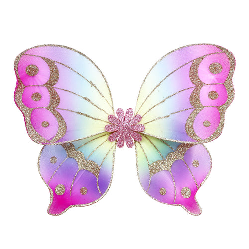 Fairy Rainbow Butterfly Wings
