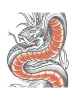 Snake Tattoo