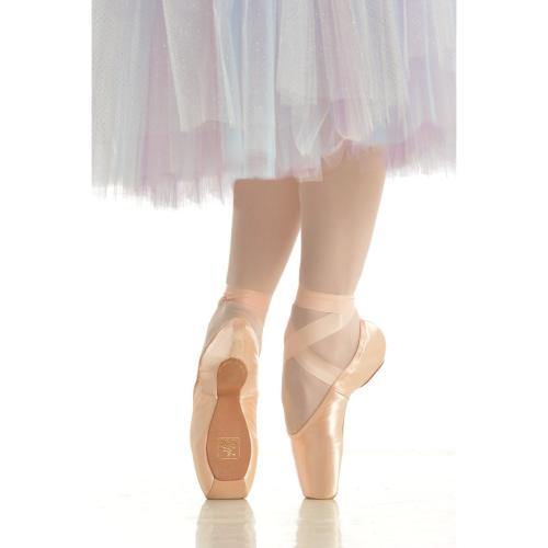 Gaynor Minden Pointe Shoes - Classic - Box #3