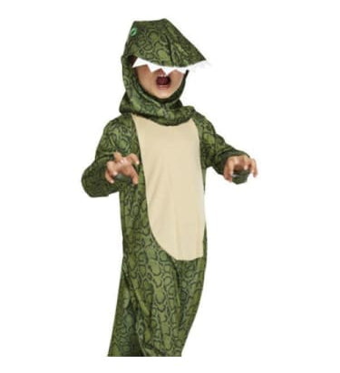 Dinosaur Costume  Dancewear Australia