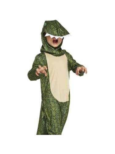 Dinosaur Costume  Dancewear Australia