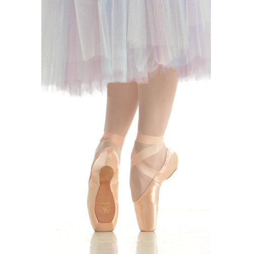 Gaynor Minden Pointe Shoes - Classic - Box #4