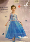 elsa frozen dress