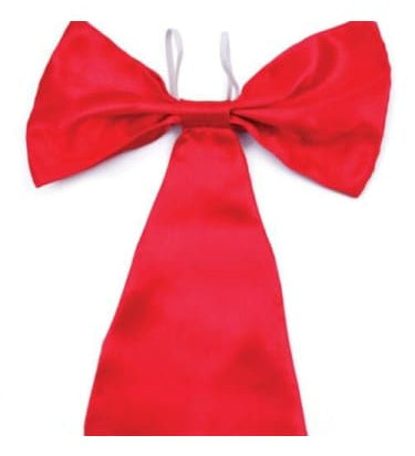 Jumbo Red Bow Tie  Dancewear Australia