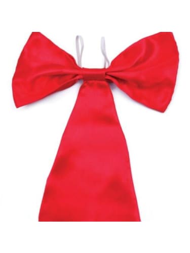 Jumbo Red Bow Tie  Dancewear Australia