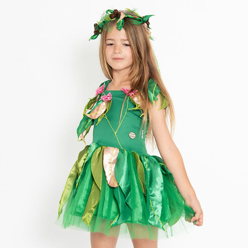 May Gibbs Fairy Dress