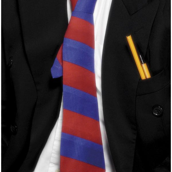 naughty school girl or silly school boy fancy dress costume.