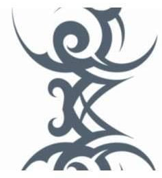 Tribal Tattoo  Dancewear Australia