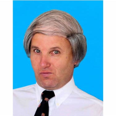 Wig - Tragic Combover Grey old man 